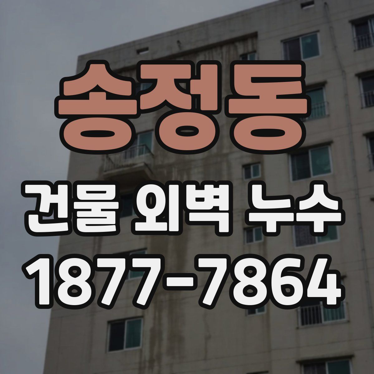 송정동 건물 외벽 누수