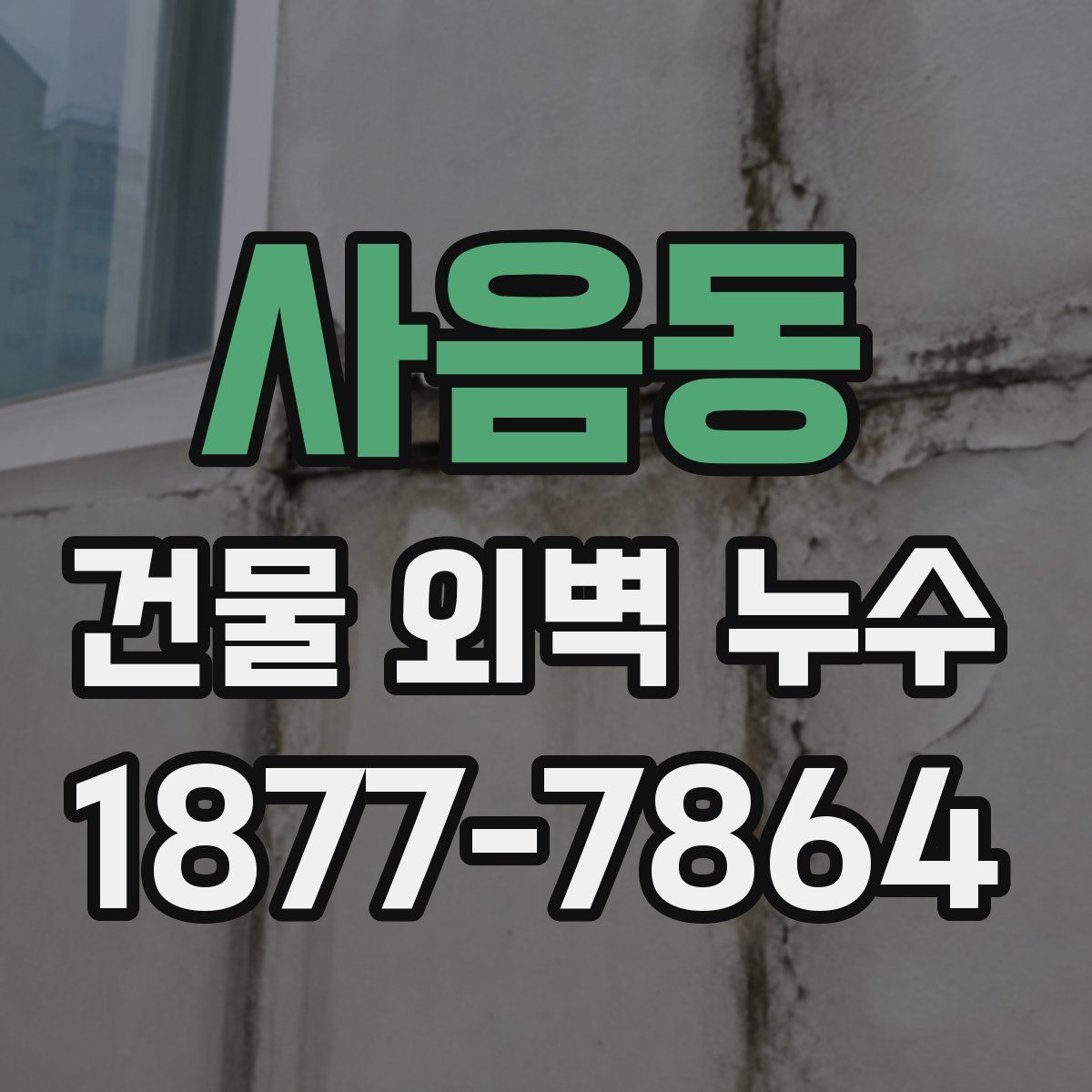 사음동 건물 외벽 누수