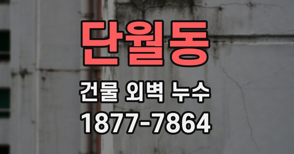 단월동 건물 외벽 누수