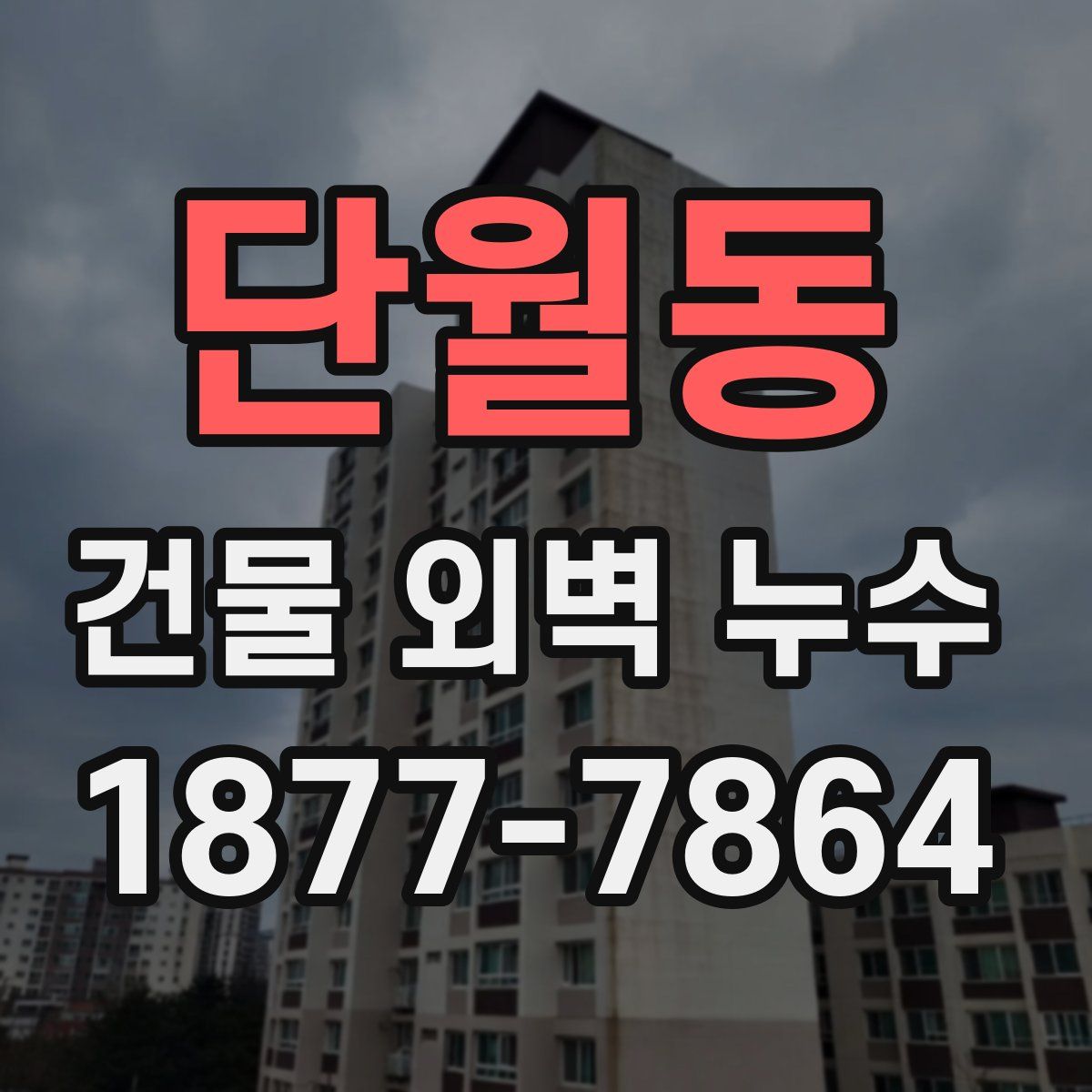단월동 건물 외벽 누수