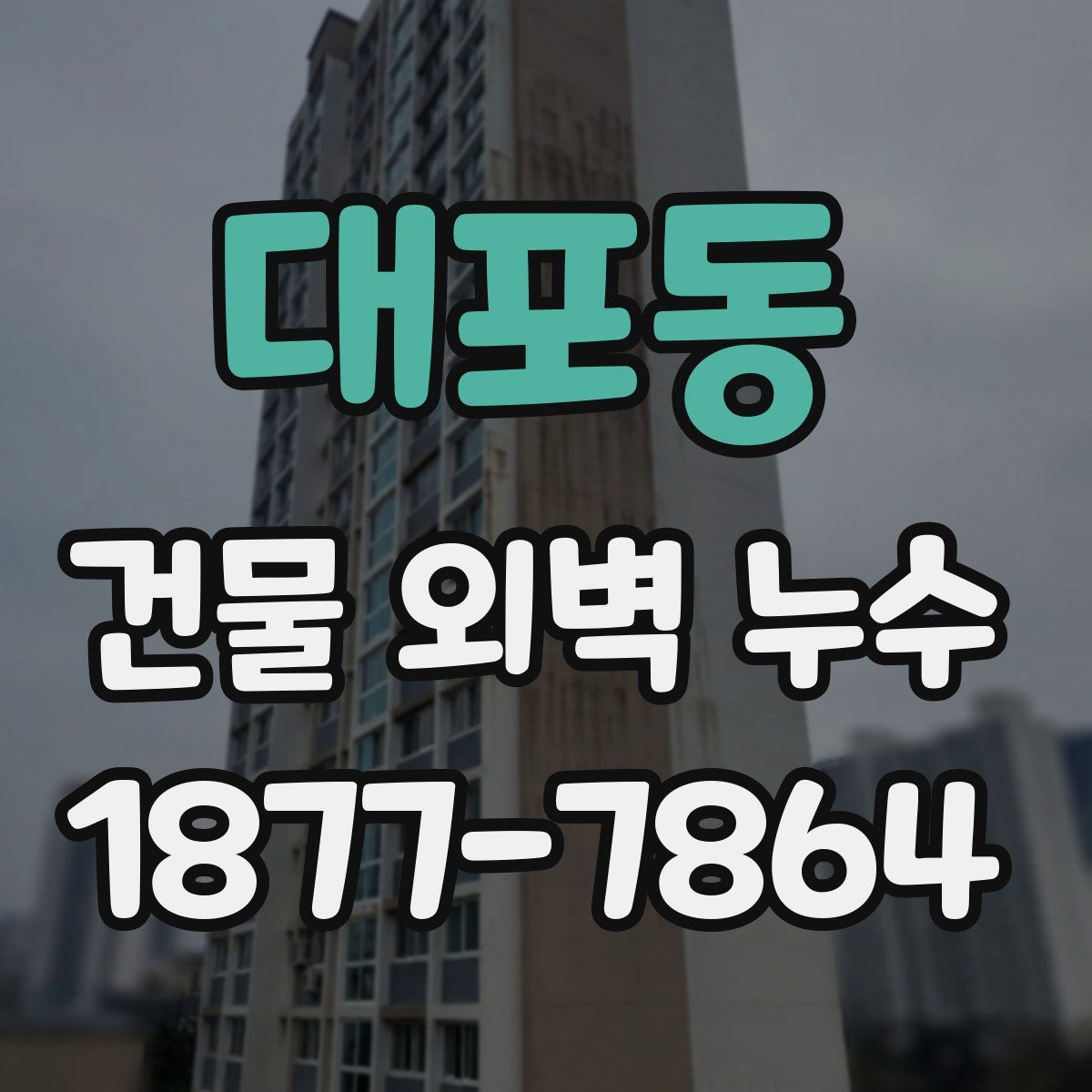 대포동 건물 외벽 누수
