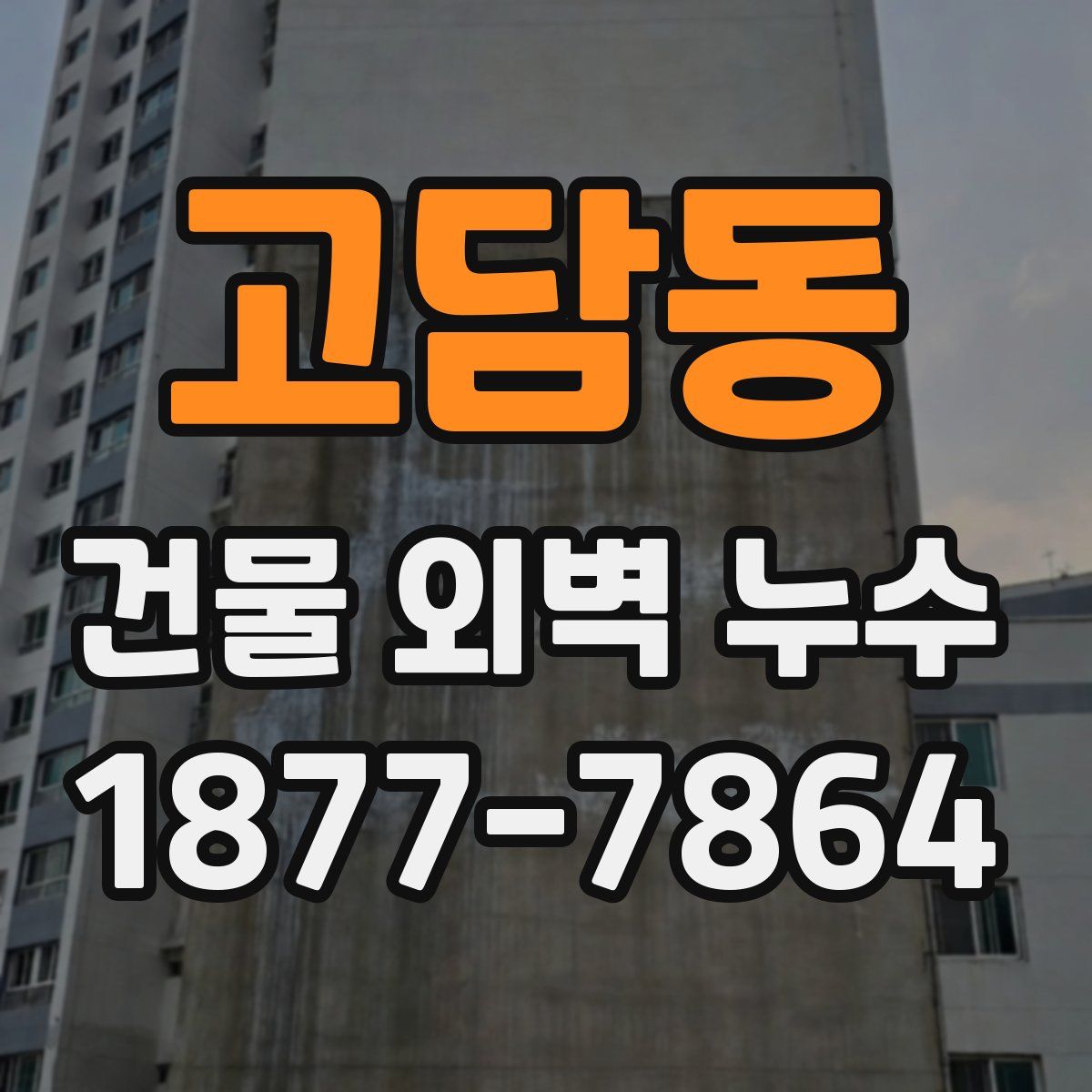 고담동 건물 외벽 누수