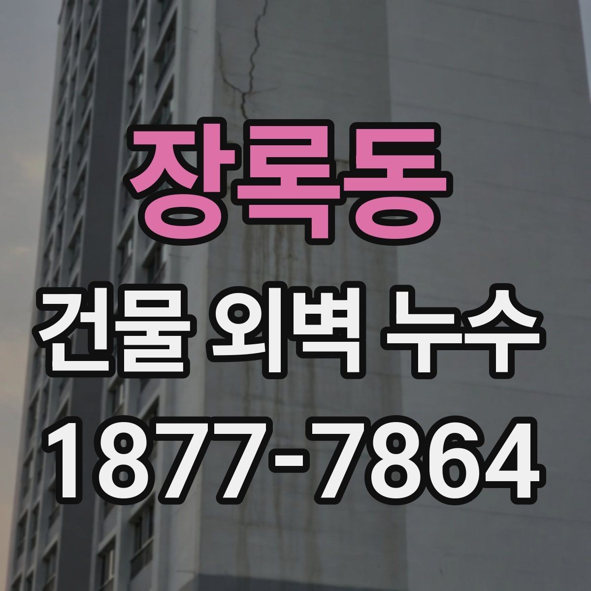 장록동 건물 외벽 누수 현장 점검이 중요한 이유