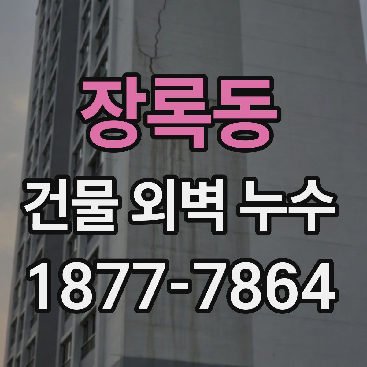 장록동 건물 외벽 누수