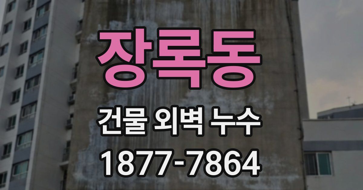 장록동 건물 외벽 누수