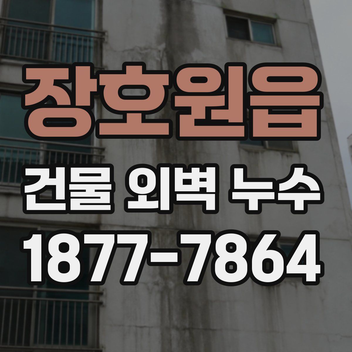 장호원읍 건물 외벽 누수