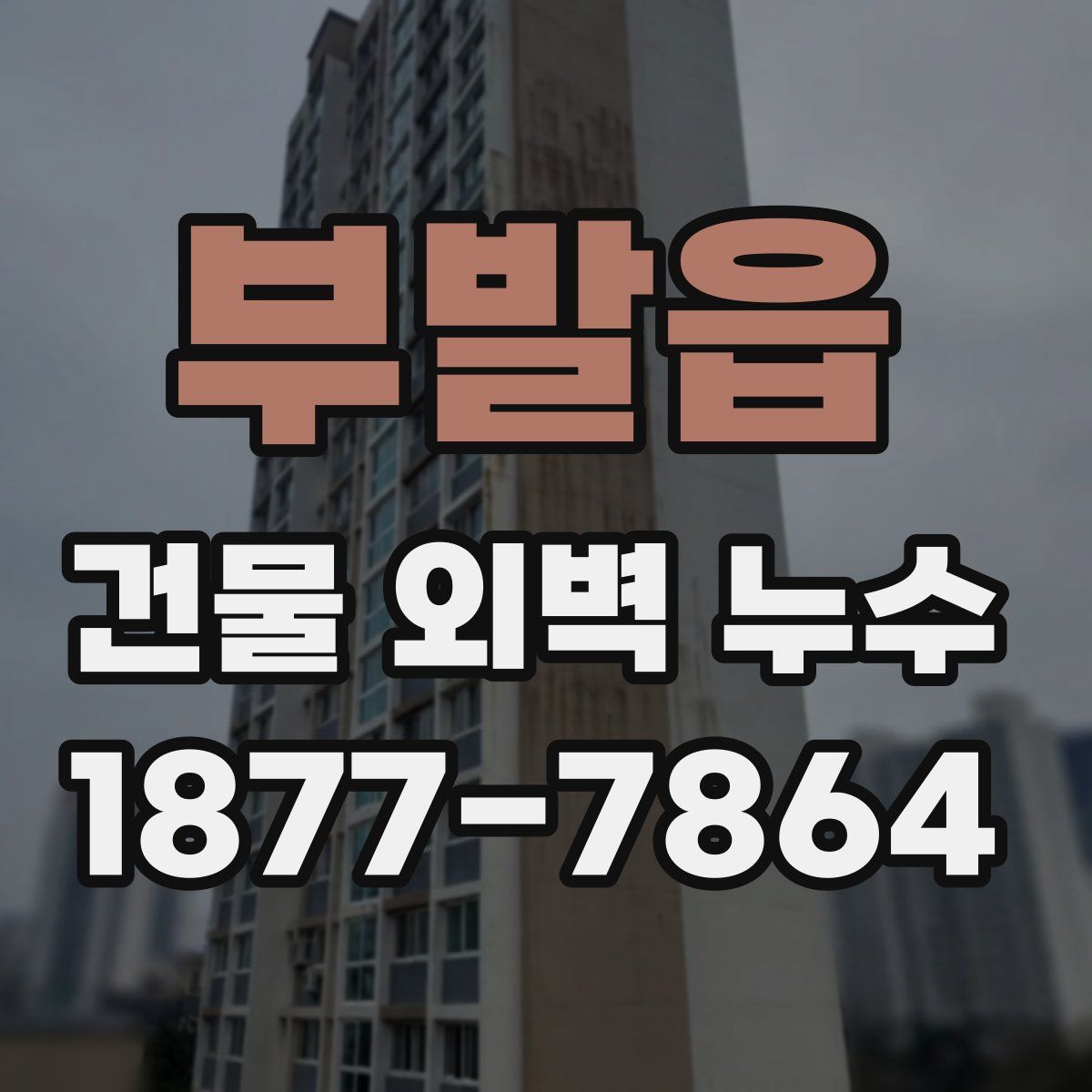 부발읍 건물 외벽 누수