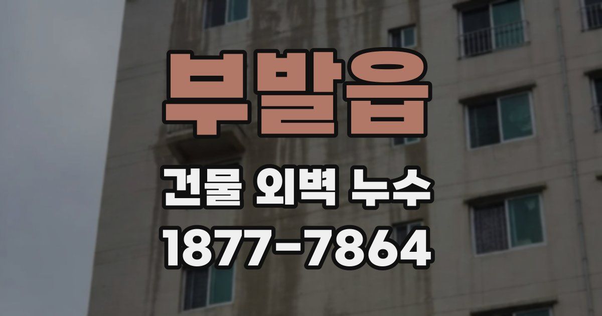 부발읍 건물 외벽 누수