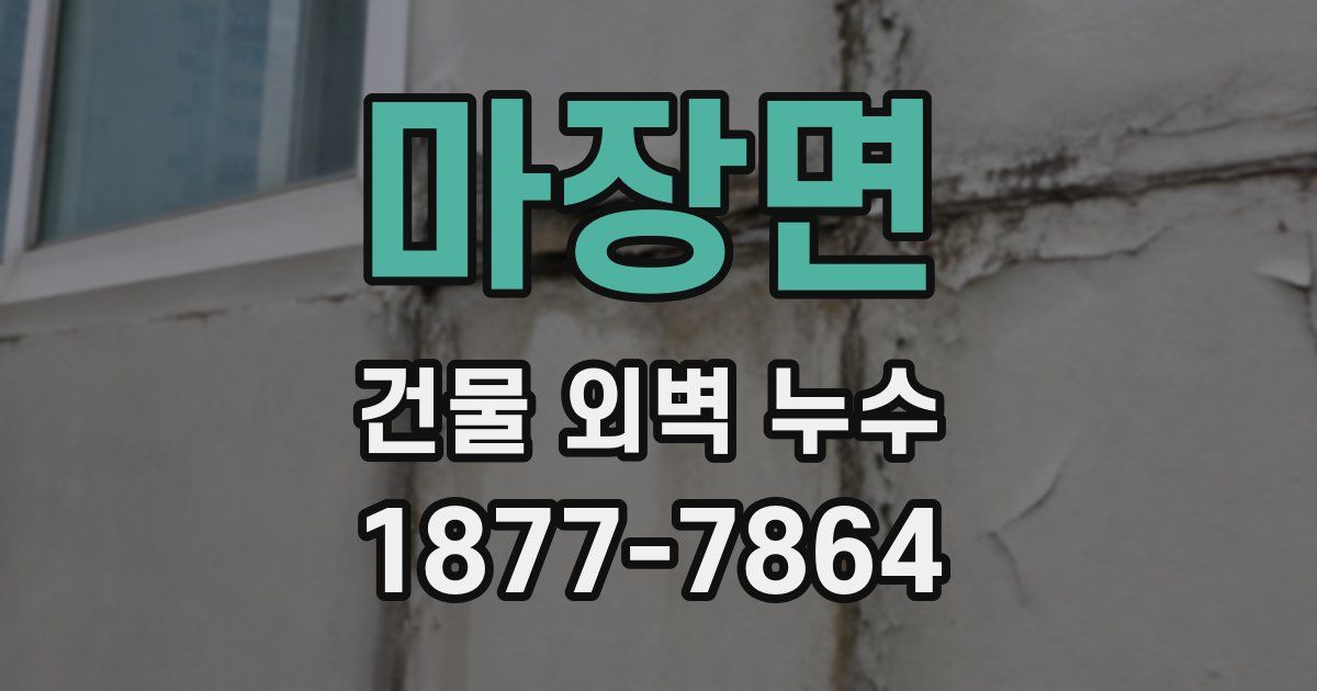 마장면 건물 외벽 누수