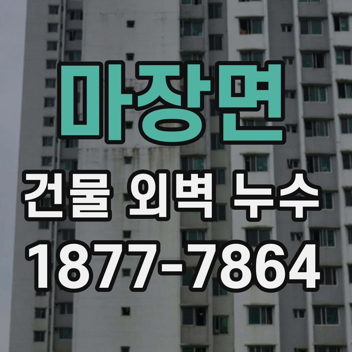 마장면 건물 외벽 누수