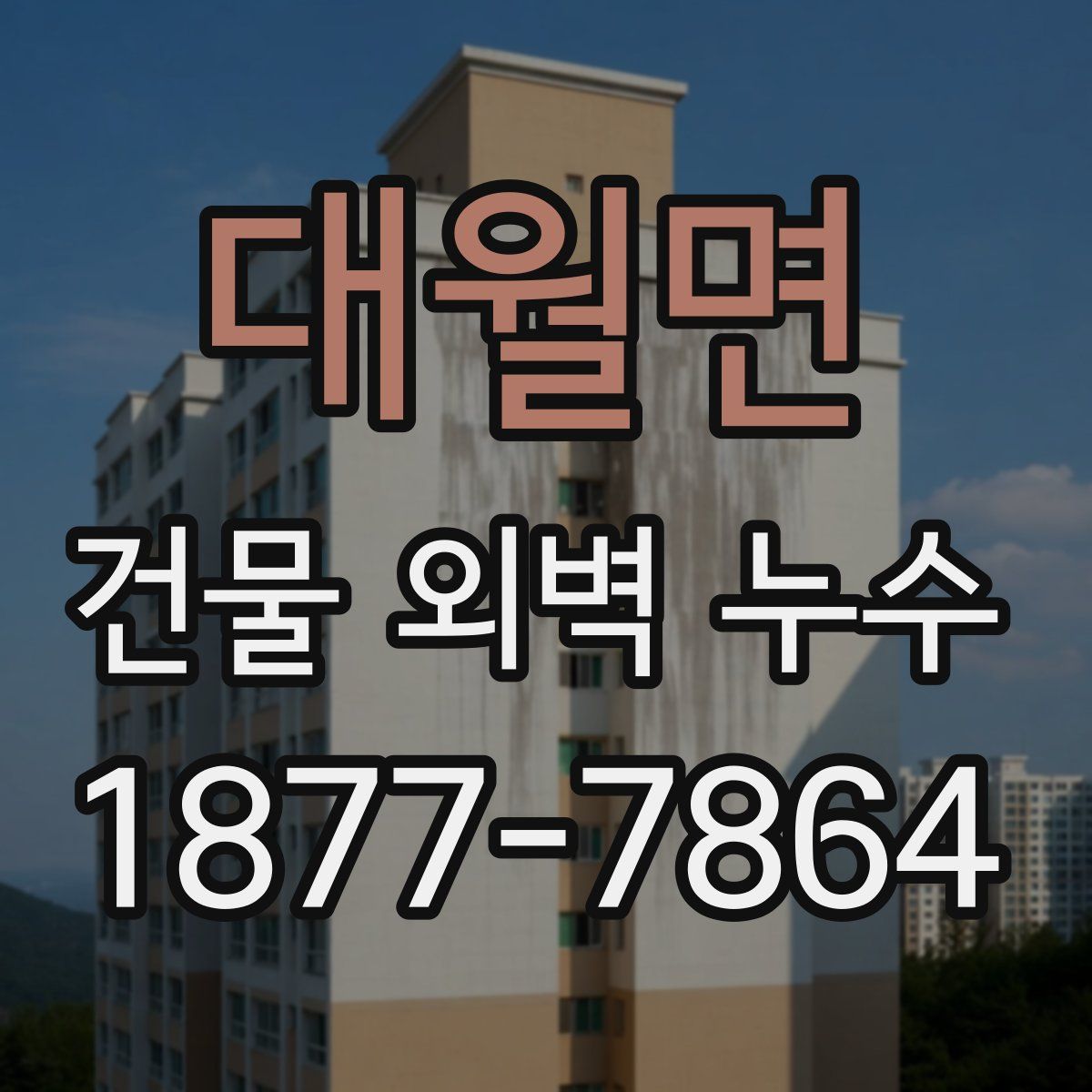 대월면 건물 외벽 누수