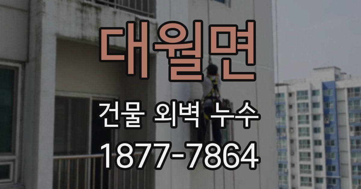 대월면 건물 외벽 누수