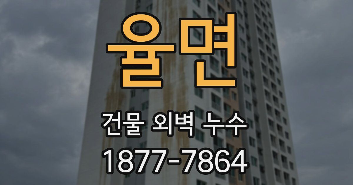 율면 건물 외벽 누수