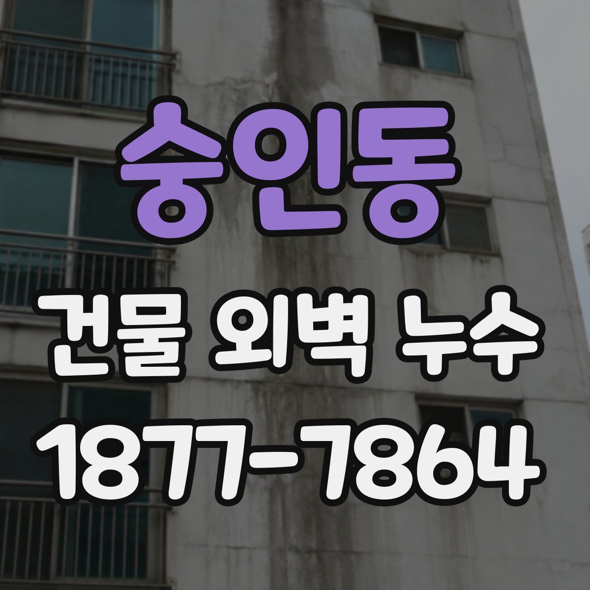 숭인동 건물 외벽 누수