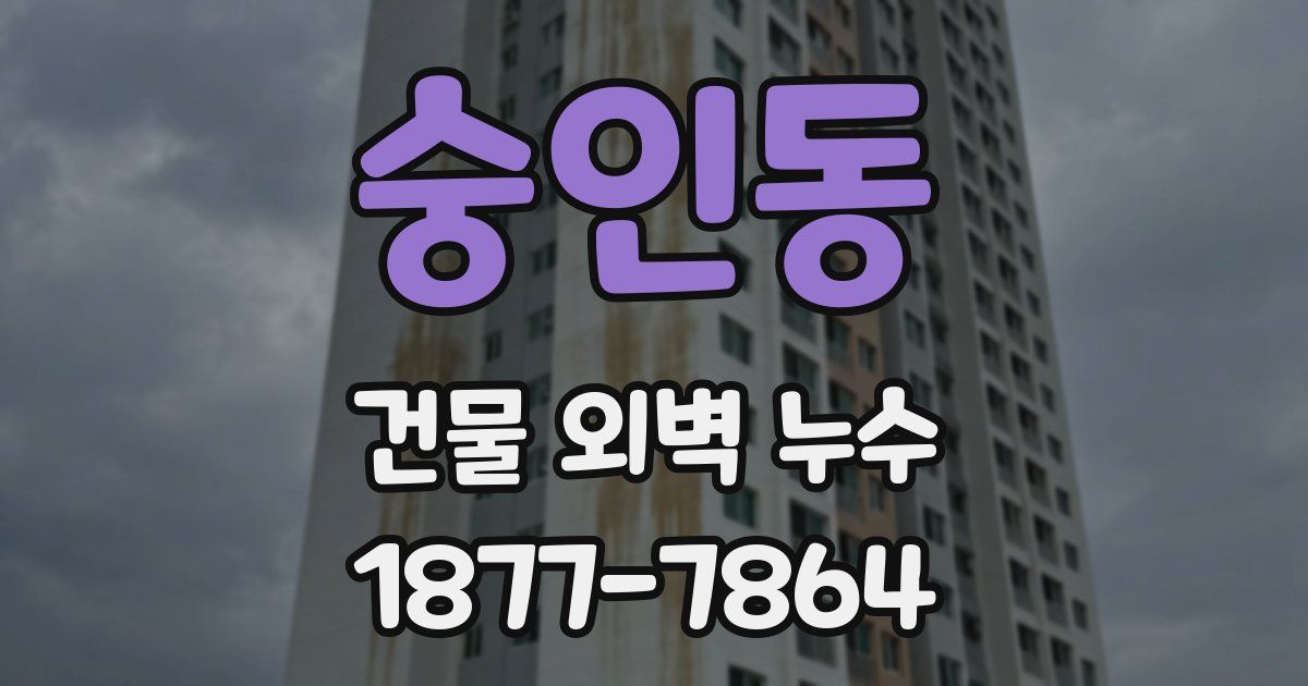 숭인동 건물 외벽 누수