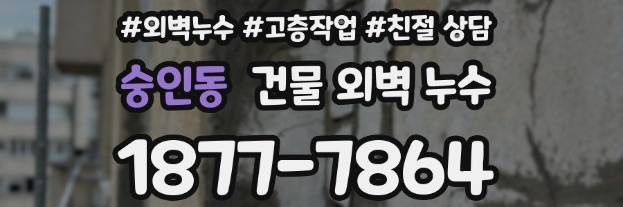 숭인동 건물 외벽 누수