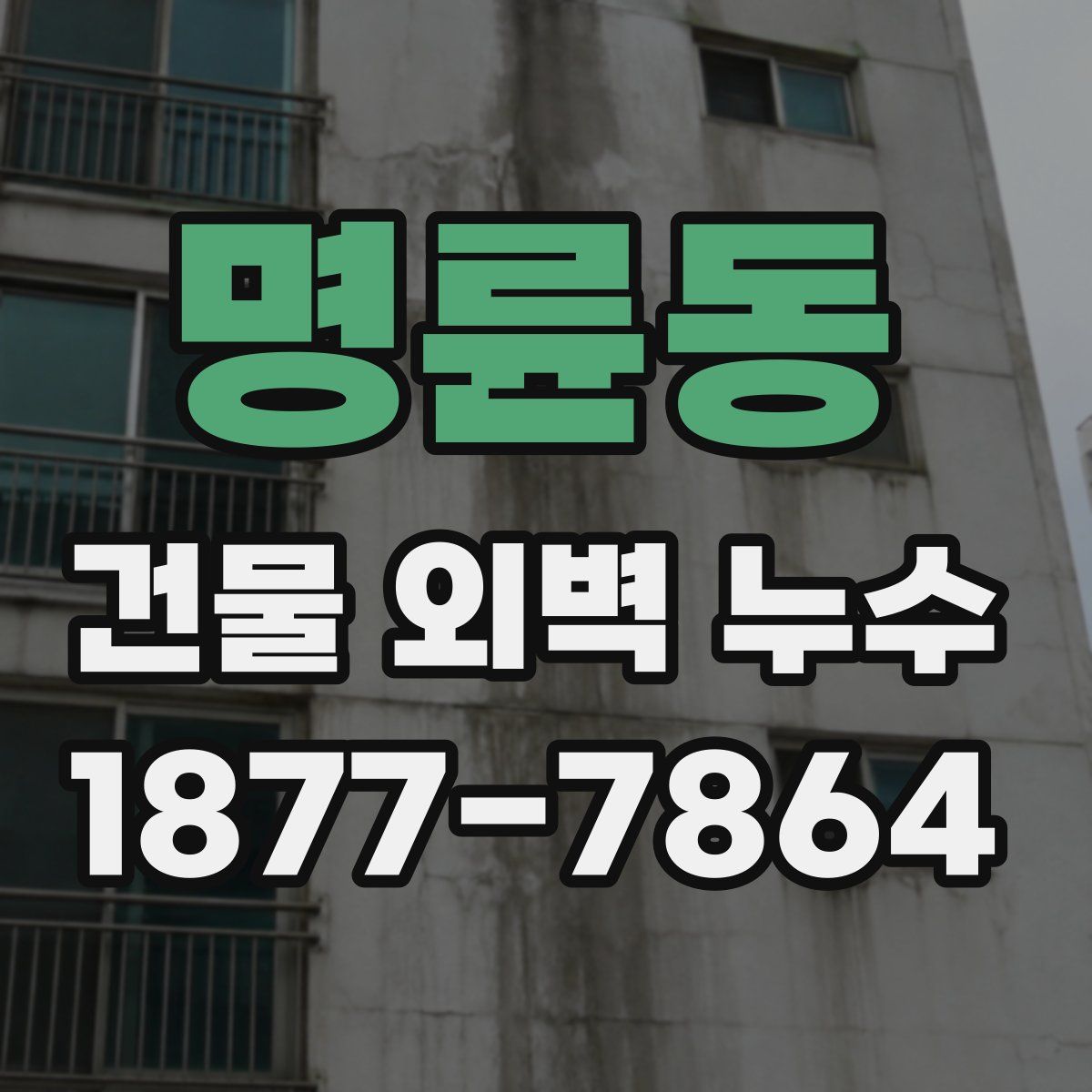 명륜동 건물 외벽 누수