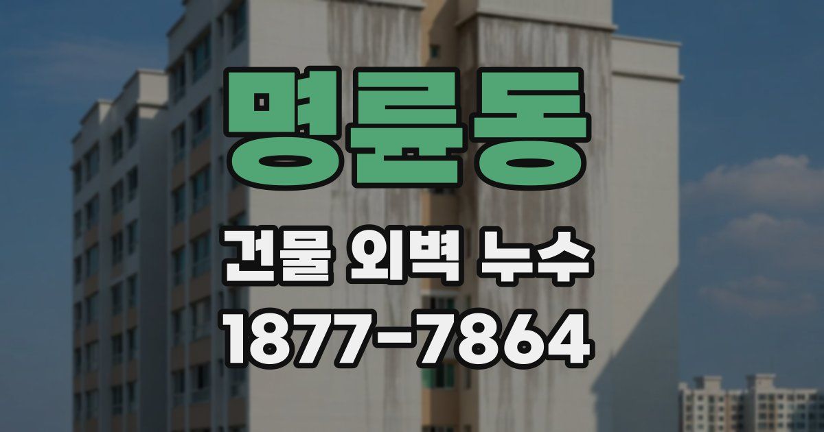 명륜동 건물 외벽 누수