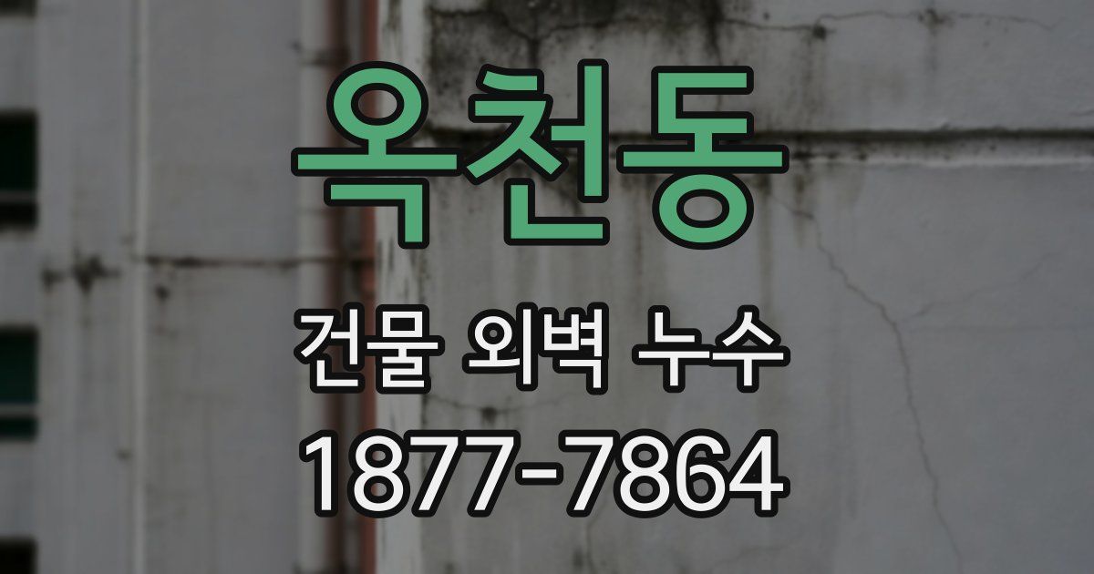 옥천동 건물 외벽 누수