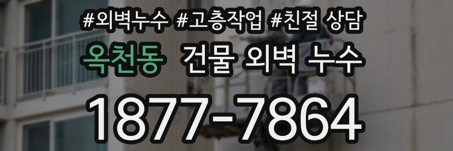 옥천동 건물 외벽 누수
