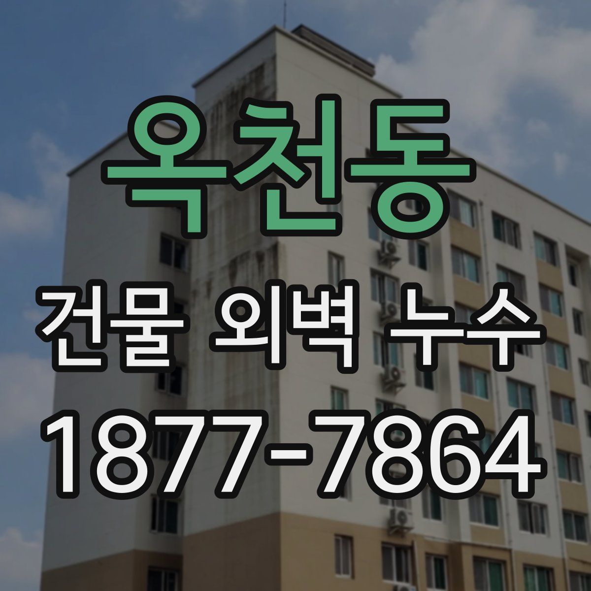 옥천동 건물 외벽 누수