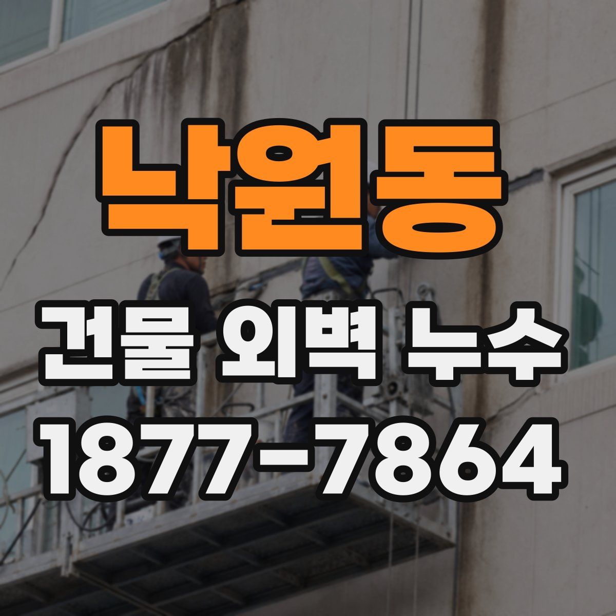 낙원동 건물 외벽 누수