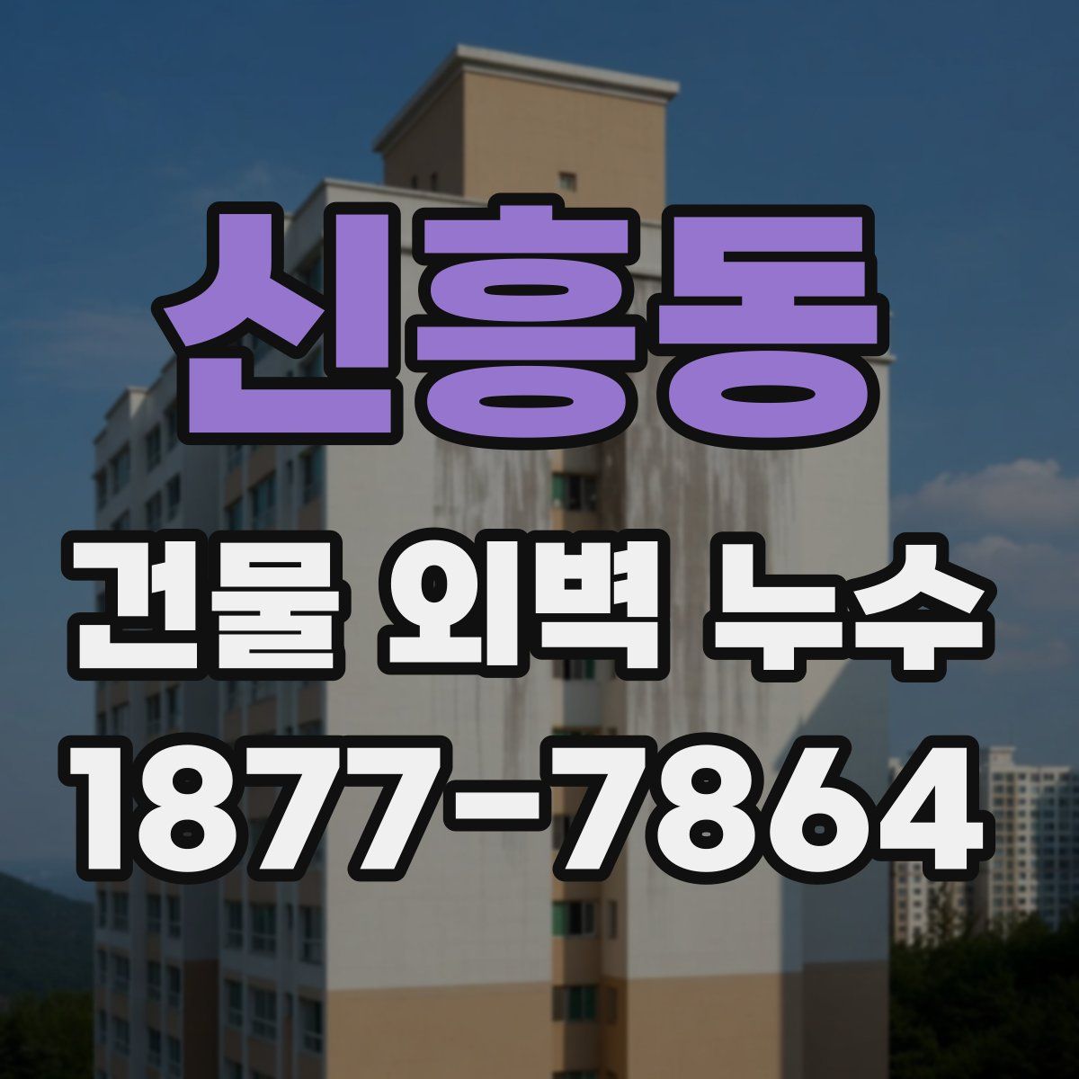 신흥동 건물 외벽 누수