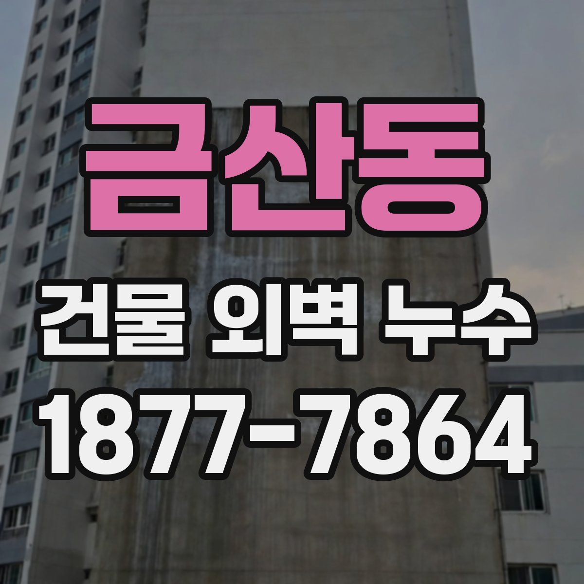 금산동 건물 외벽 누수