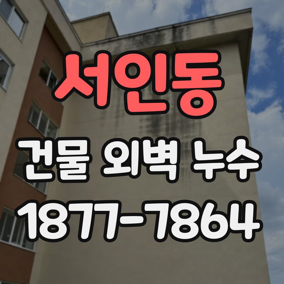 서인동 건물 외벽 누수