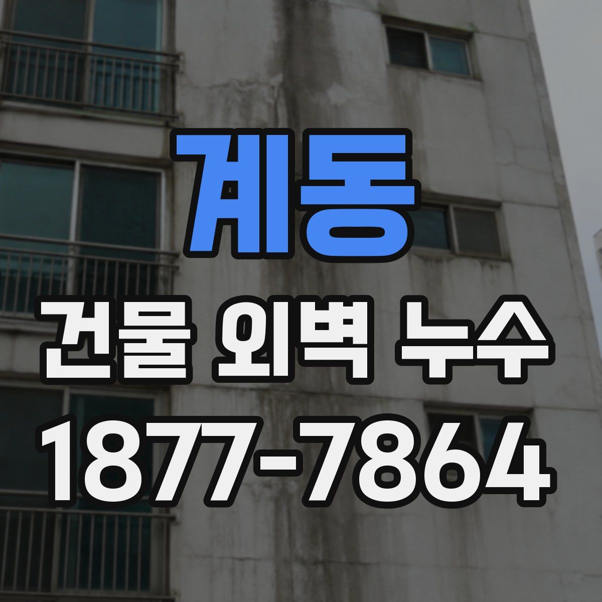 계동 건물 외벽 누수
