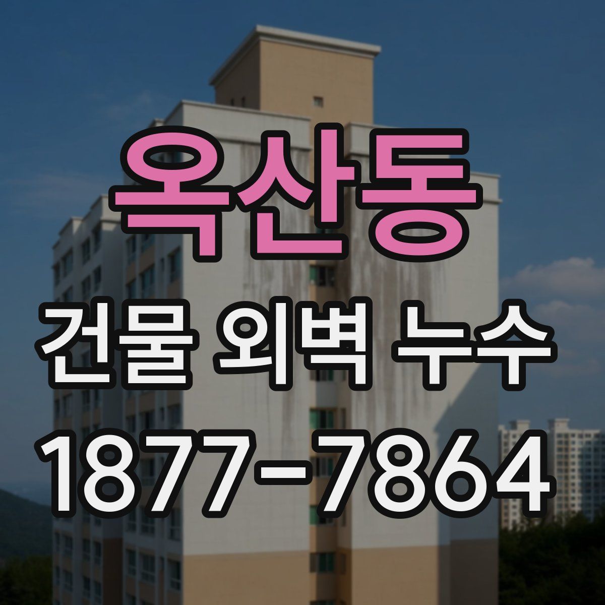 옥산동 건물 외벽 누수