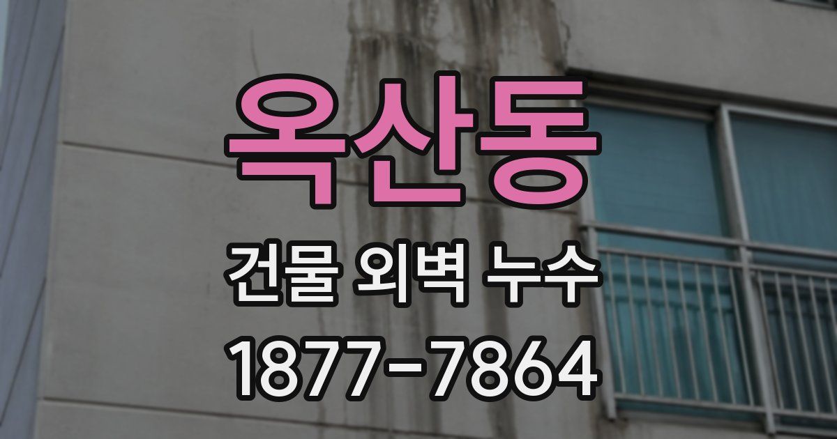옥산동 건물 외벽 누수