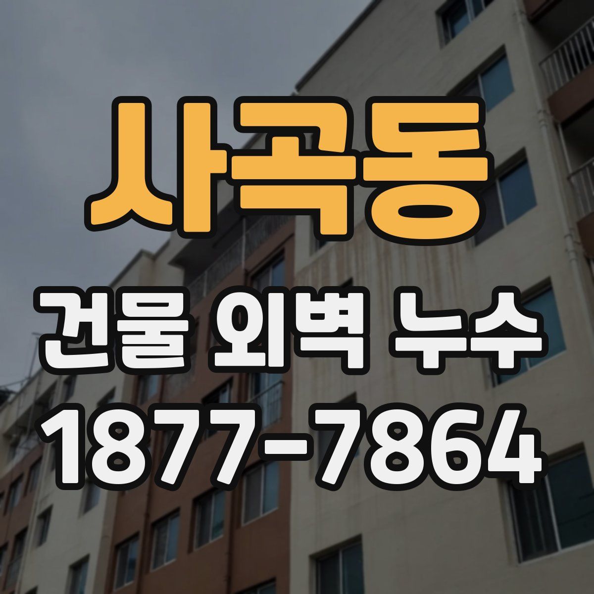 사곡동 건물 외벽 누수