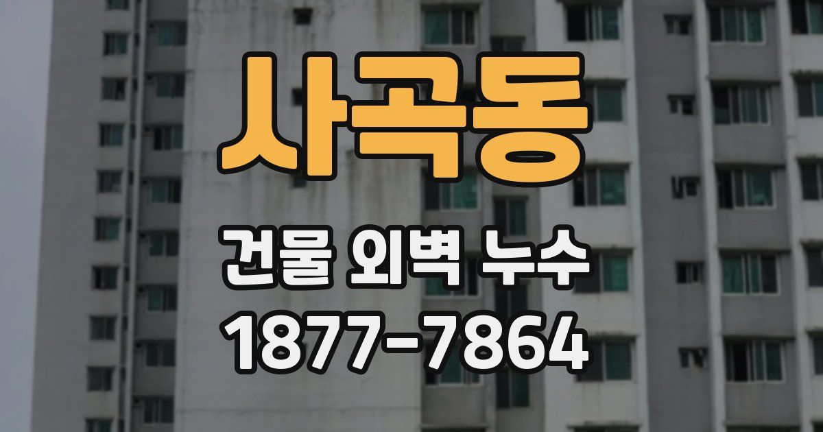 사곡동 건물 외벽 누수