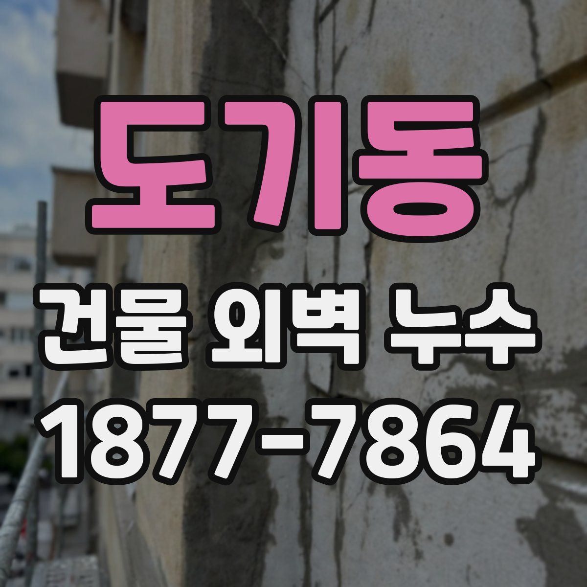 도기동 건물 외벽 누수