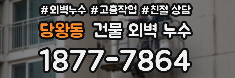 당왕동 건물 외벽 누수