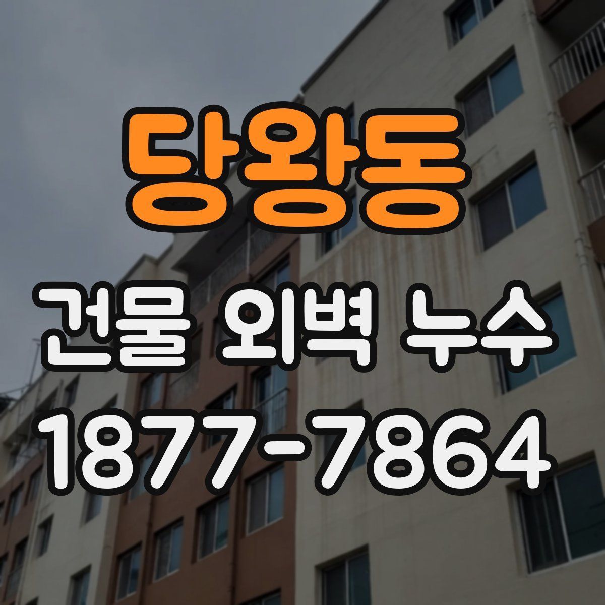 당왕동 건물 외벽 누수