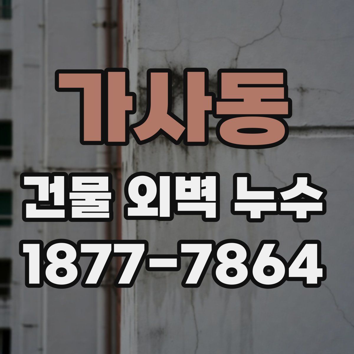 가사동 건물 외벽 누수
