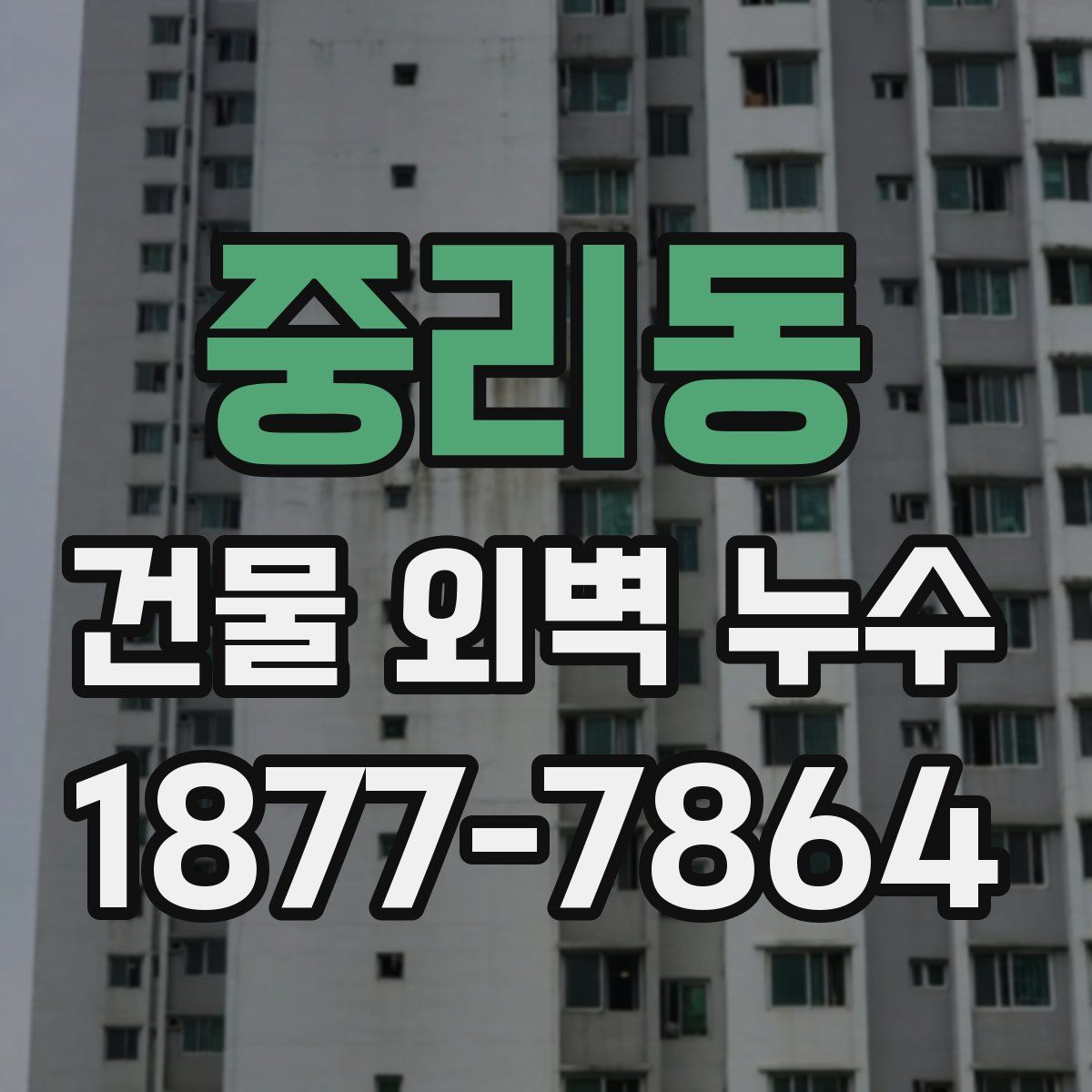 중리동 건물 외벽 누수