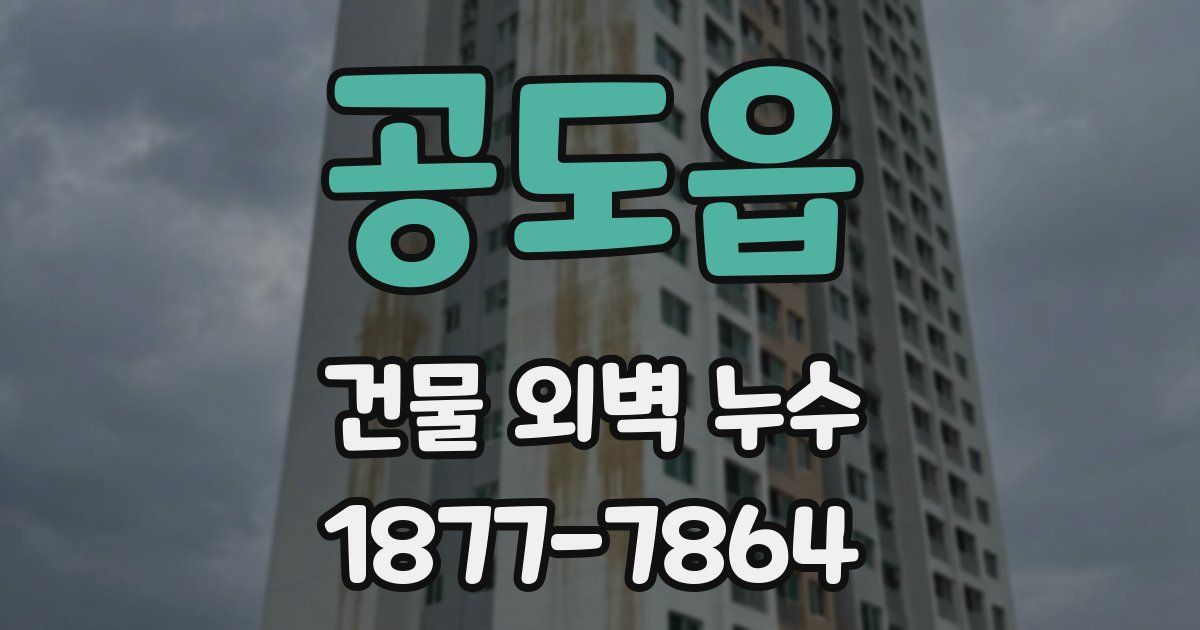 공도읍 건물 외벽 누수