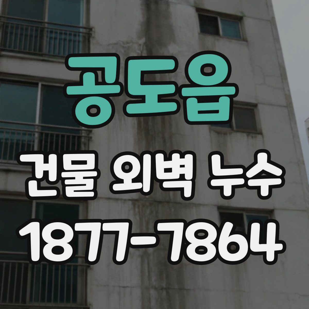 공도읍 건물 외벽 누수