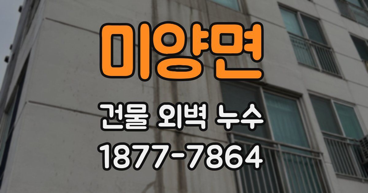 미양면 건물 외벽 누수