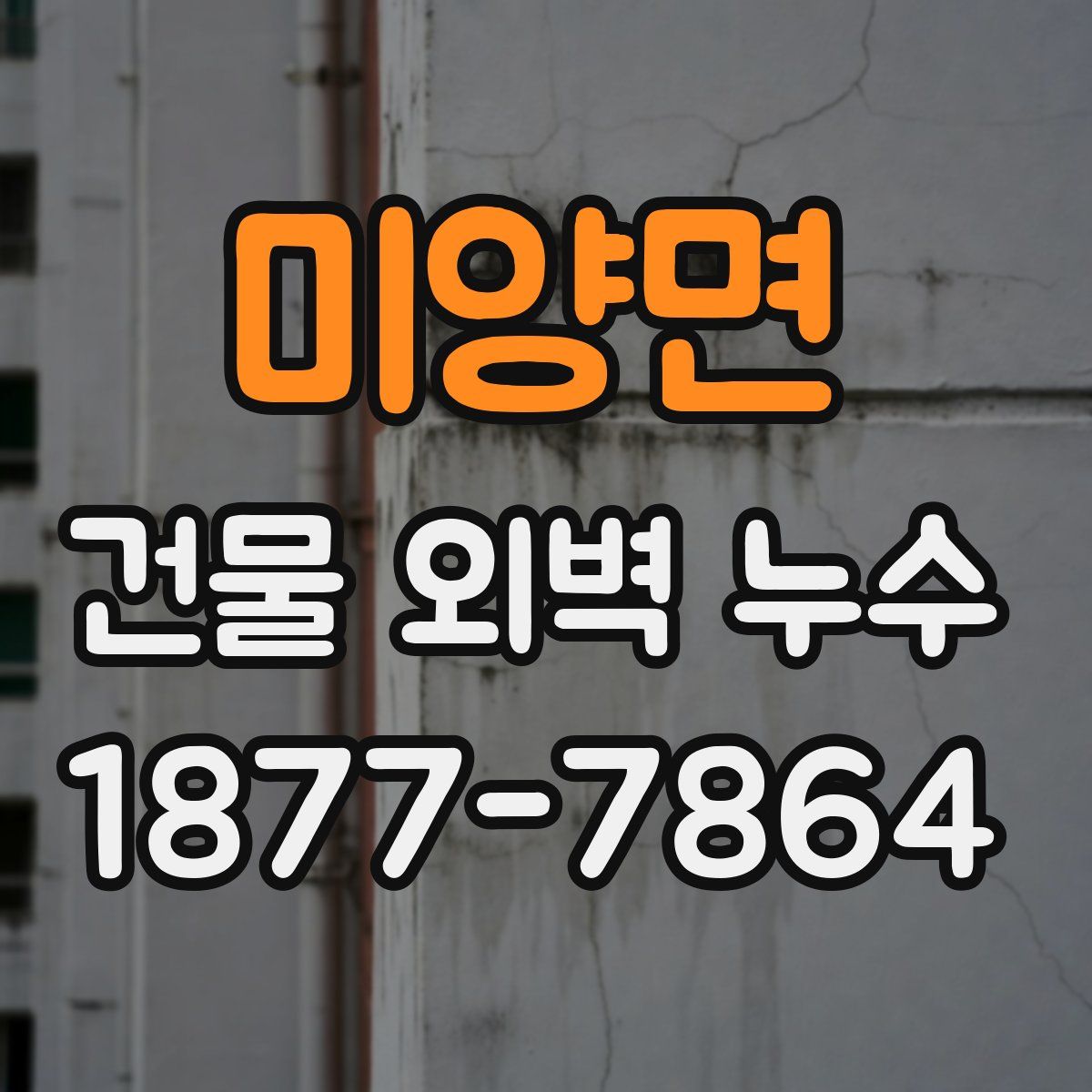 미양면 건물 외벽 누수