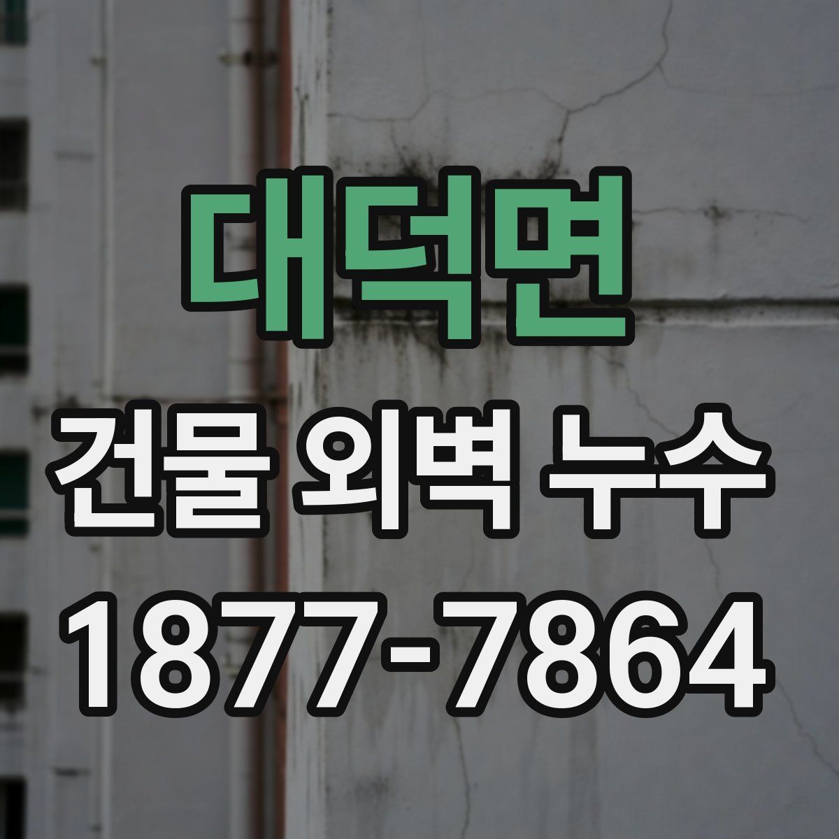 대덕면 건물 외벽 누수