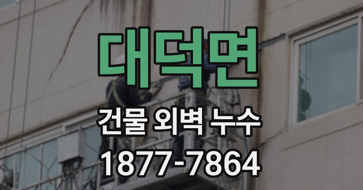 대덕면 건물 외벽 누수