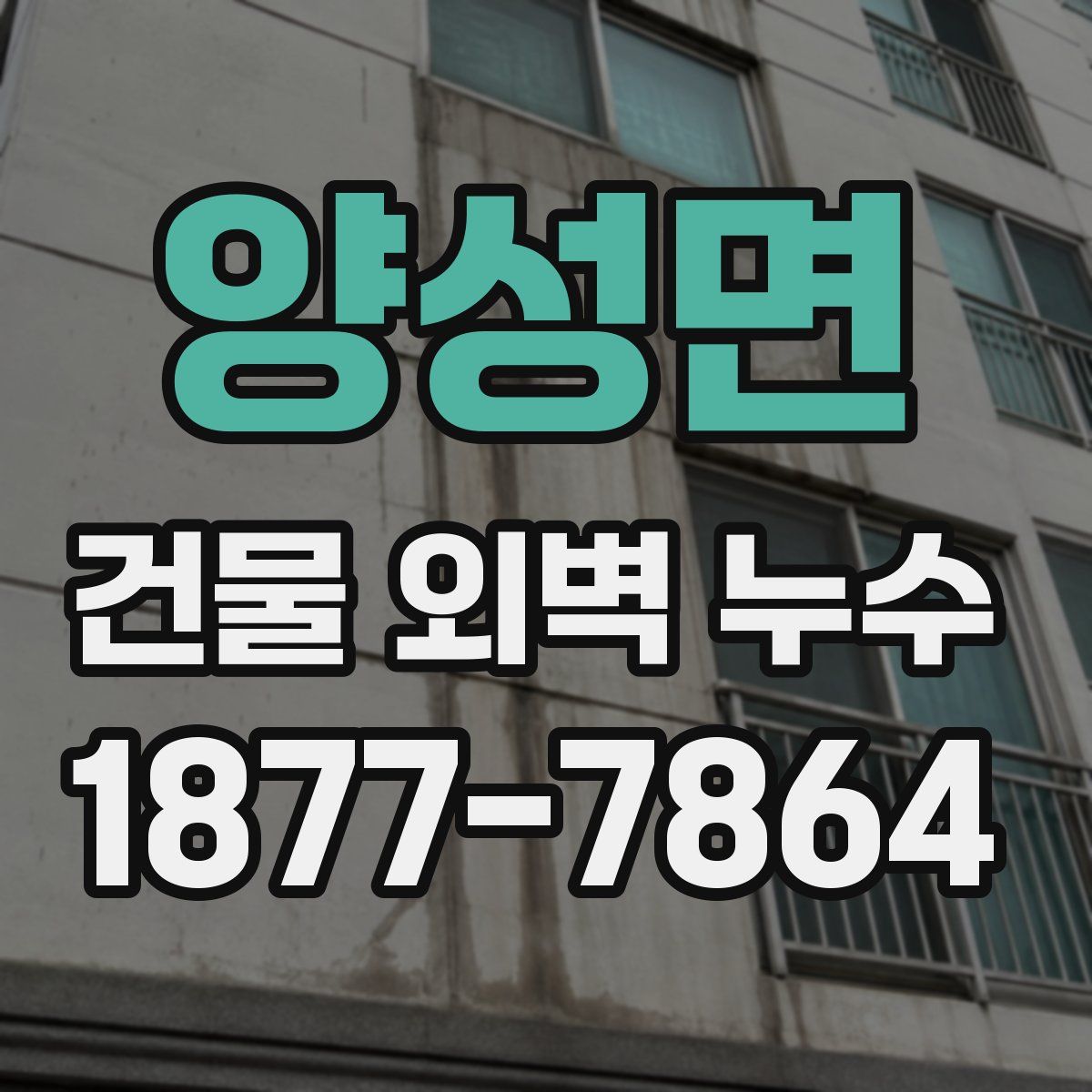 양성면 건물 외벽 누수