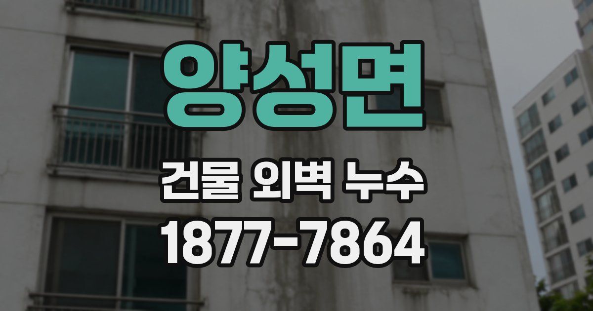 양성면 건물 외벽 누수