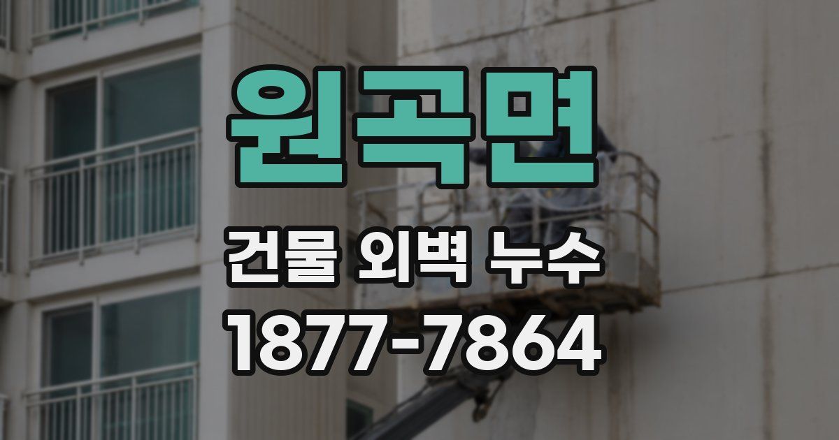 원곡면 건물 외벽 누수