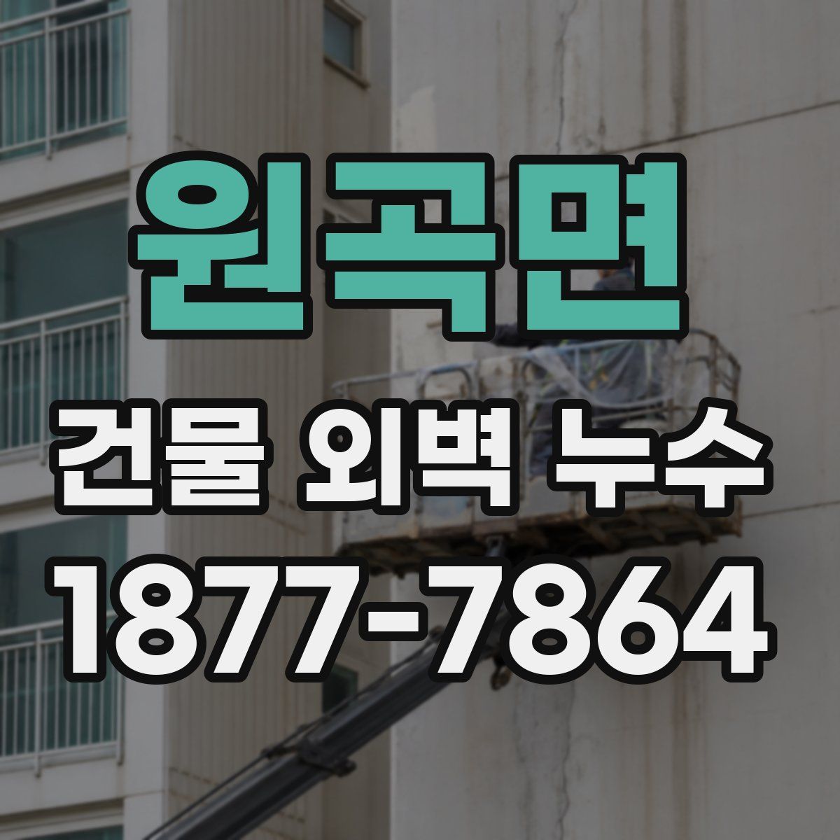 원곡면 건물 외벽 누수