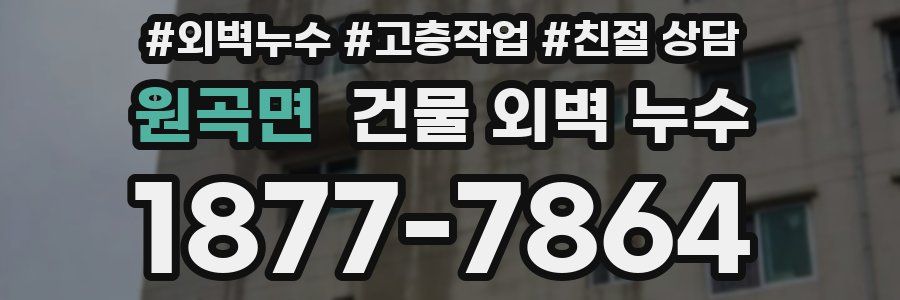 원곡면 건물 외벽 누수